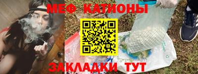 шишки Обь