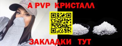 шишки Обь