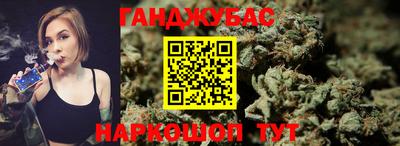 шишки Обь