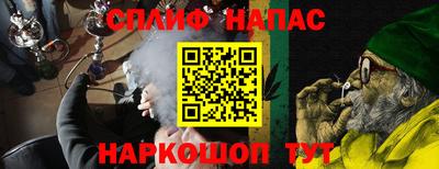 шишки Обь