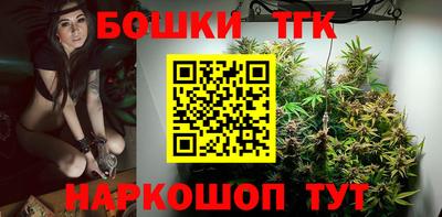 шишки Обь