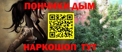 шишки Обь