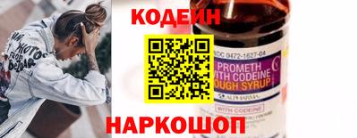 шишки Обь