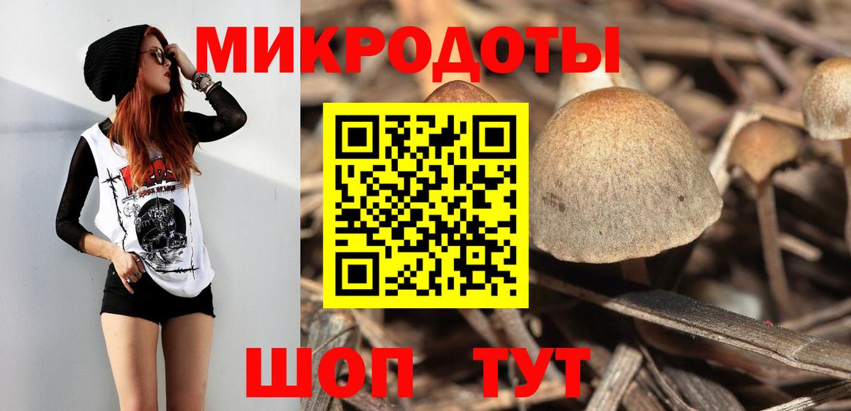 Галлюциногенные грибы мухоморы Тайшет