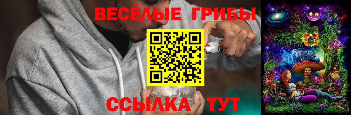 Тайшет  Галлюциногенные грибы MAGIC MUSHROOMS  Вход с VPN  купить   Псилоцибиновые грибы ЛСД 